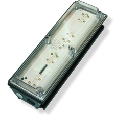 Sealite Outdoor LED Luminaire